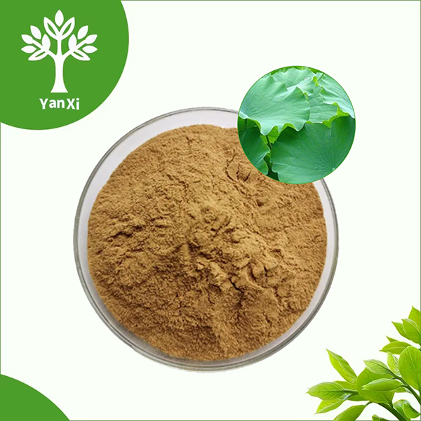 Lotus Leaf Extract Powder Lotus Leaf Extract Powder